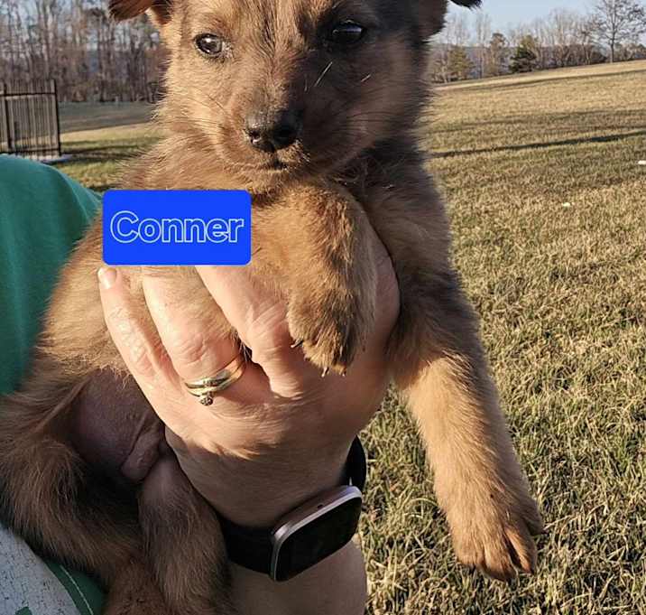 Photo of Conner