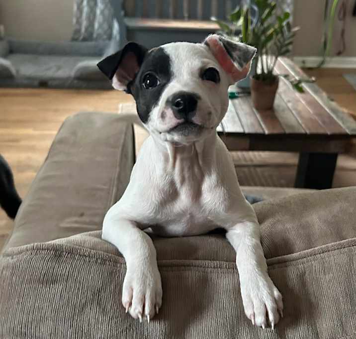 Photo of Penelope