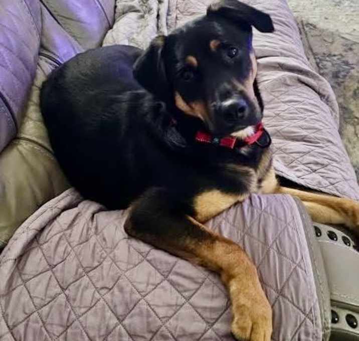 Photo of Duke