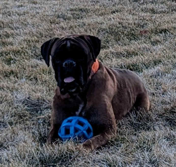 Photo of Yoshi