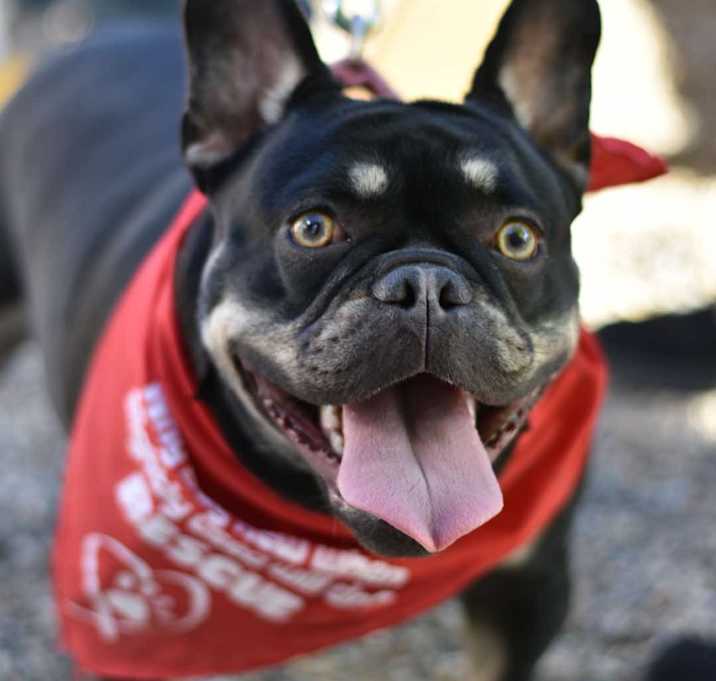 Photo of DeeDee Diamond