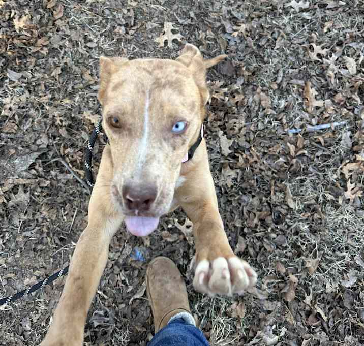 Photo of Rosie