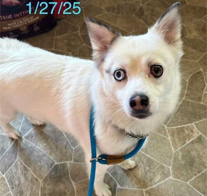 Photo of Sailor