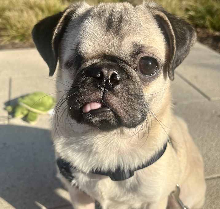 Photo of Winston