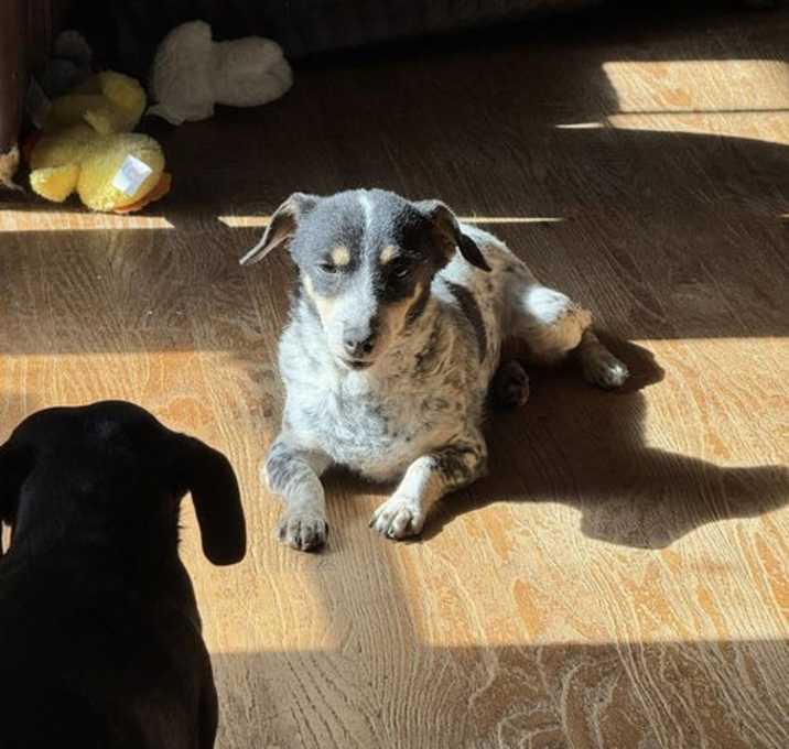 Photo of Hazel