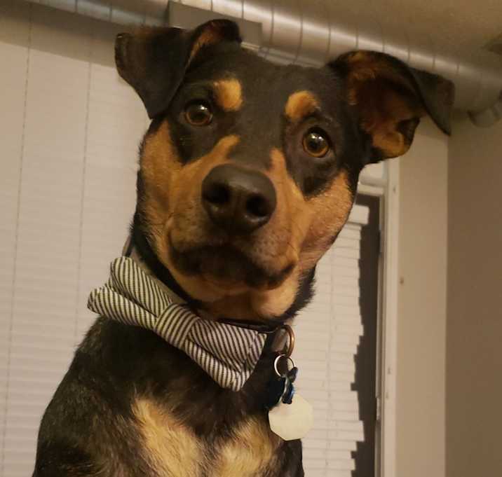 Photo of Ezra