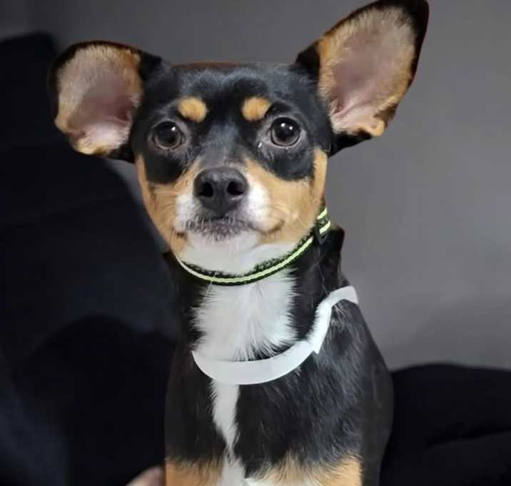 Photo of Meeka