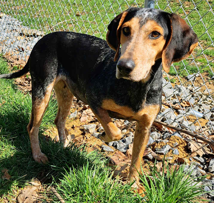 Photo of Delilah