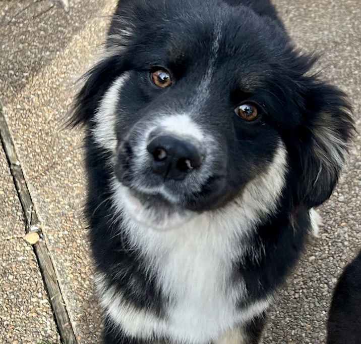 Photo of JETT