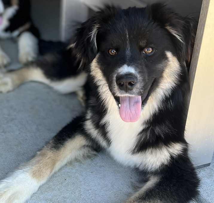 Photo of JETT