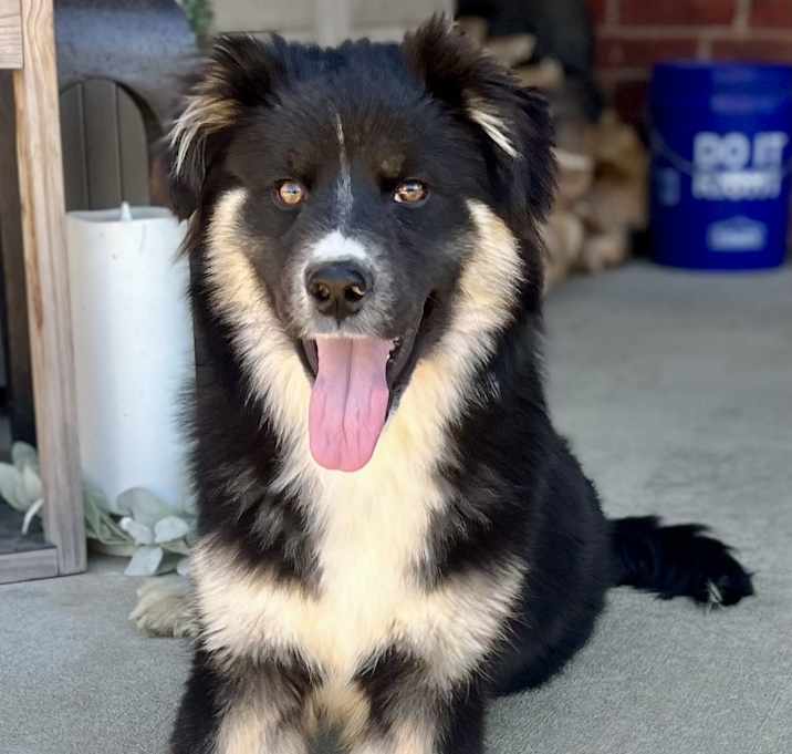 Photo of JETT