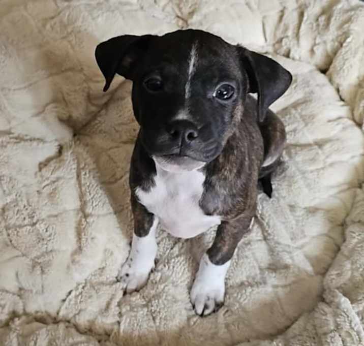 Photo of Pablo