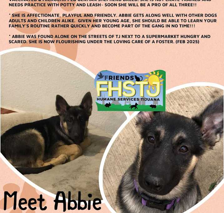 Photo of Abbie