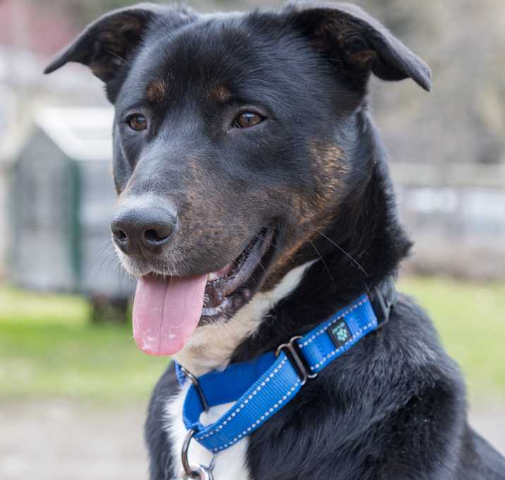 Photo of Ike
