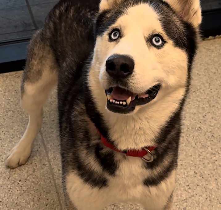 Photo of Reggie
