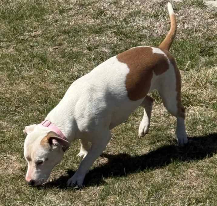 Photo of Nova