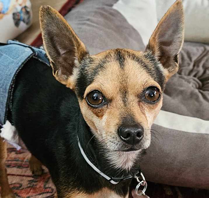 Photo of Rudy