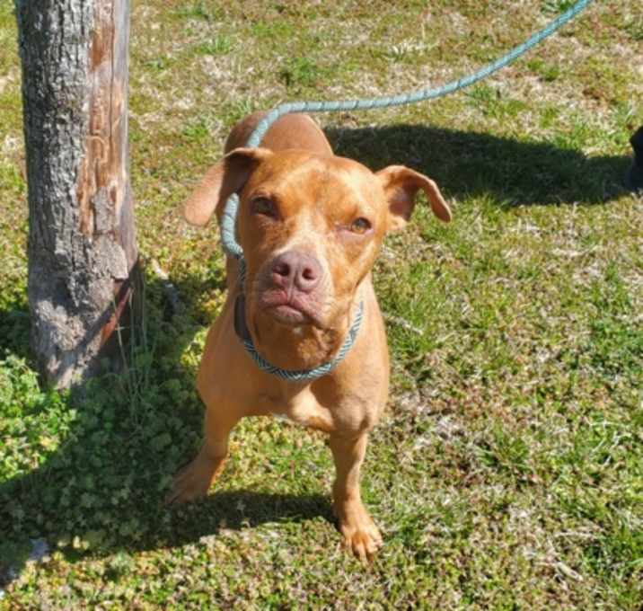 Photo of Zelda