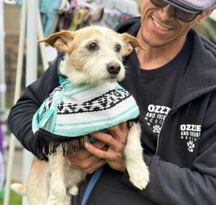 Photo of Buddy