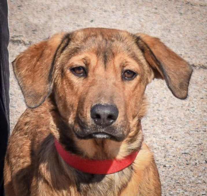 Photo of Archer