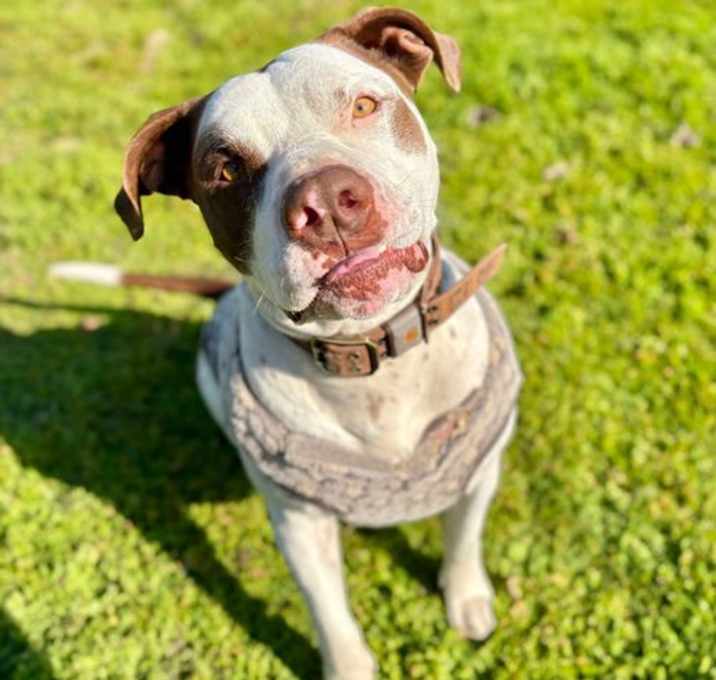 Photo of Gumbo