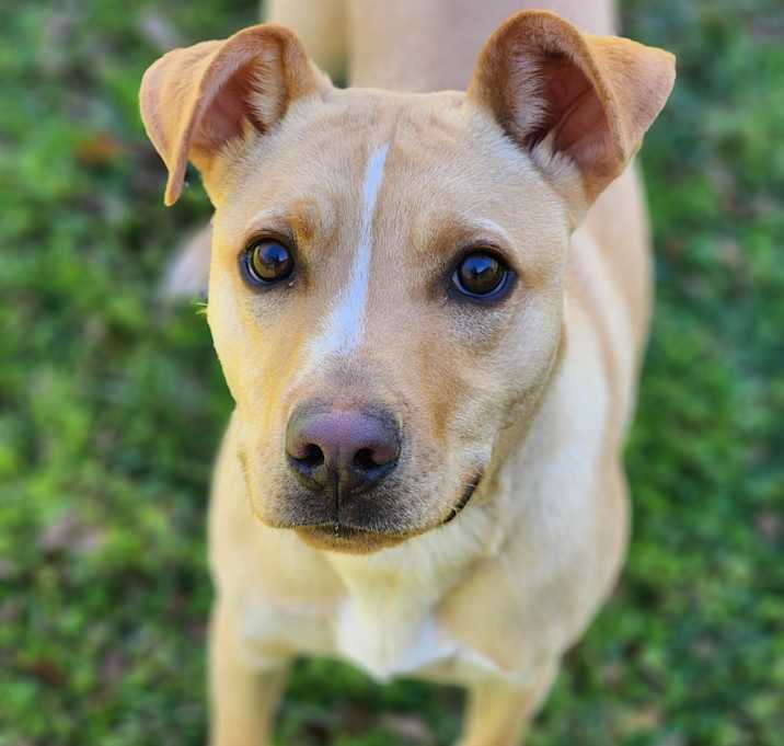 Photo of Chase