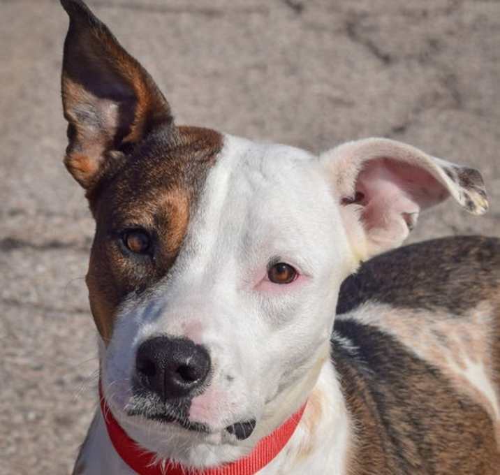 Photo of Lumi