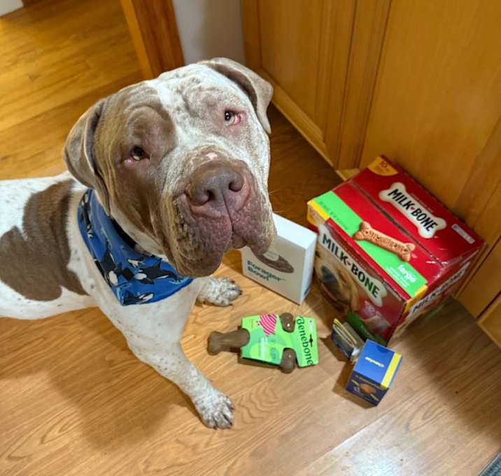 Photo of Winnie