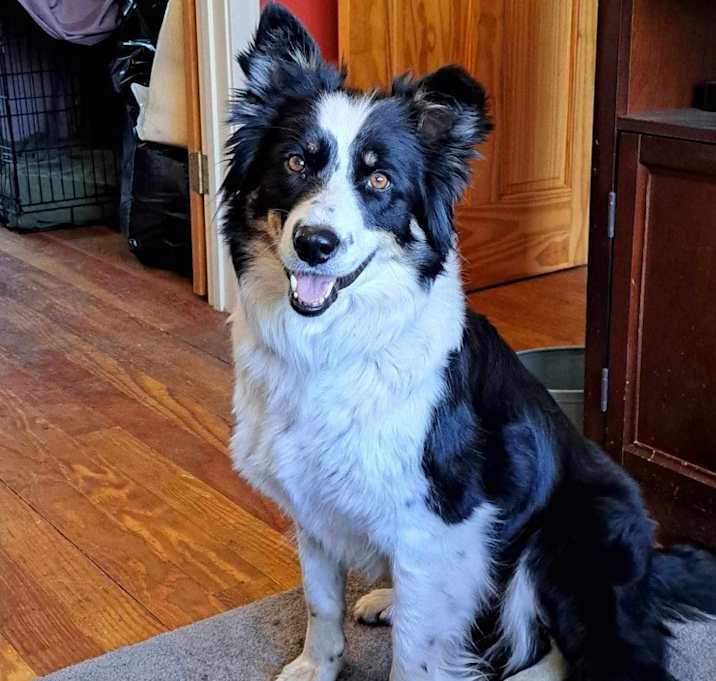 Photo of Bonnie