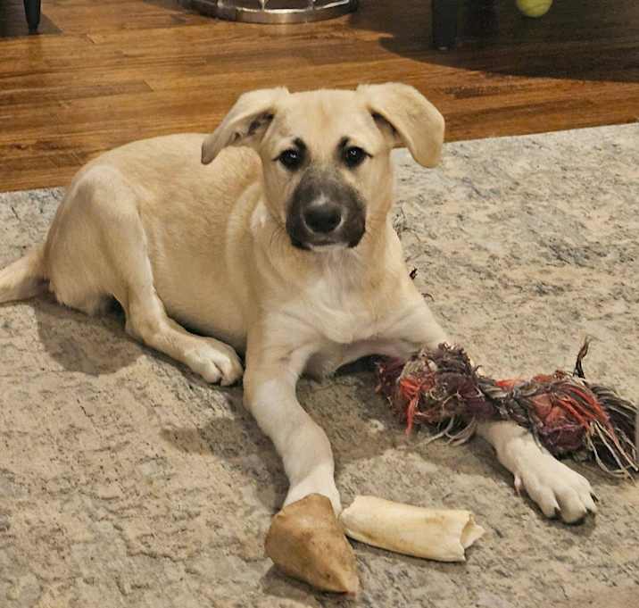 Photo of Dakota
