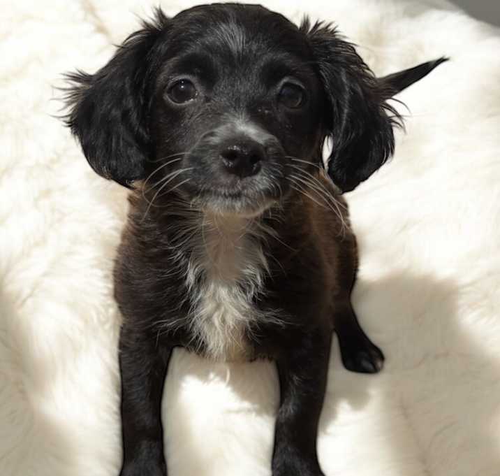 Photo of Parker