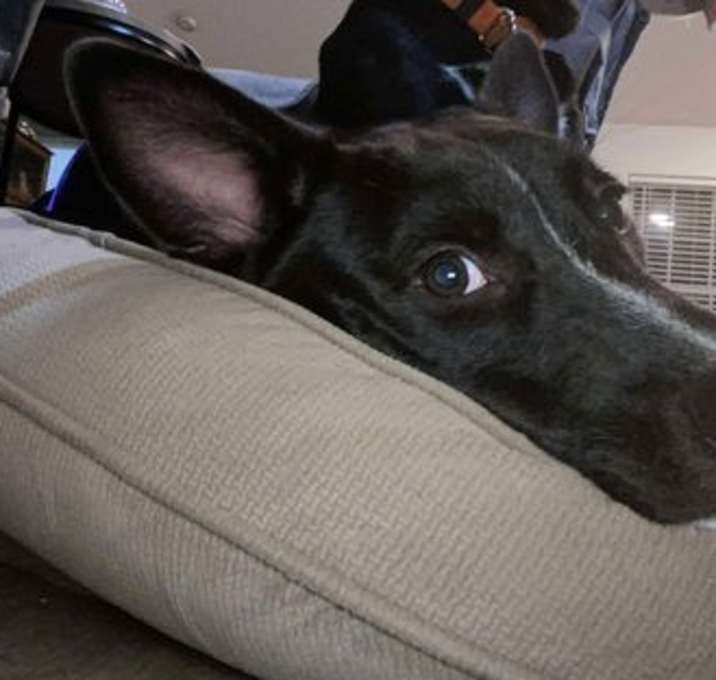 Photo of Tuck