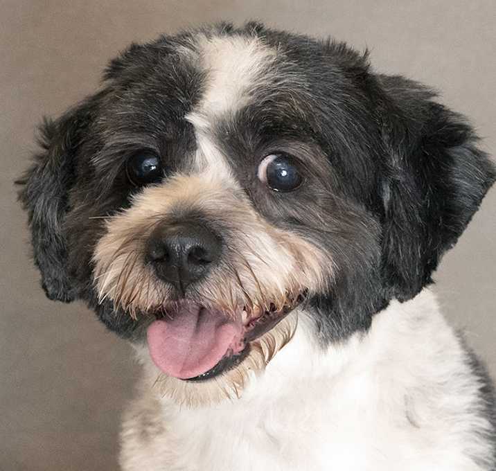 Photo of Max