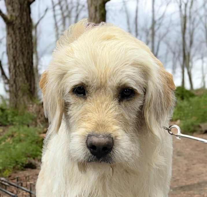 Photo of Doobie