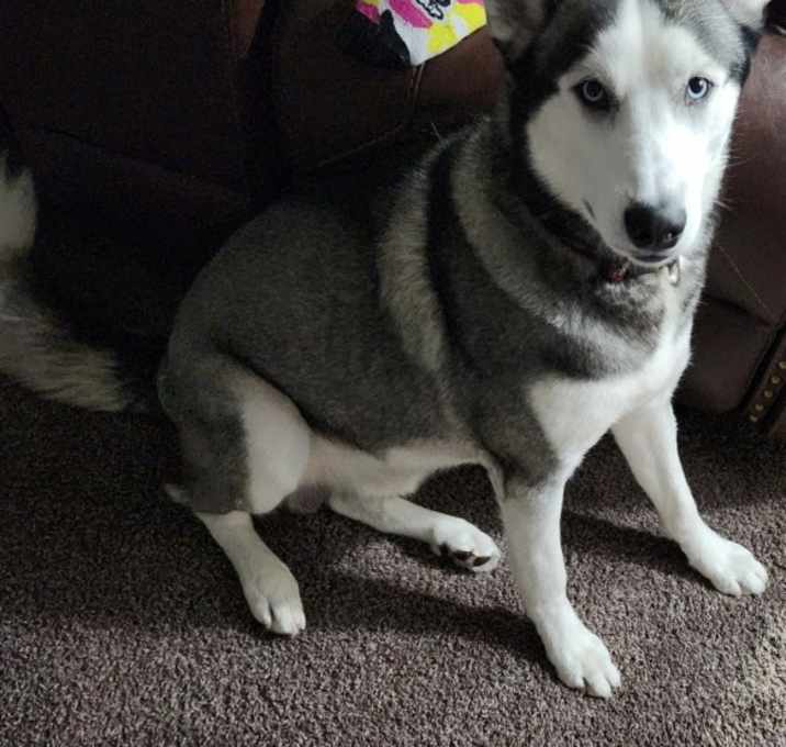 Photo of Omega