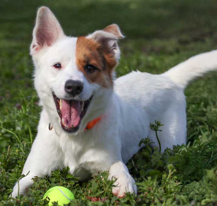 Photo of ROXY
