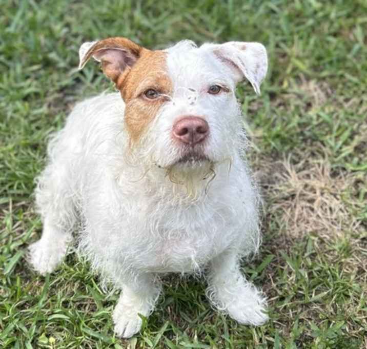 Photo of Maverick