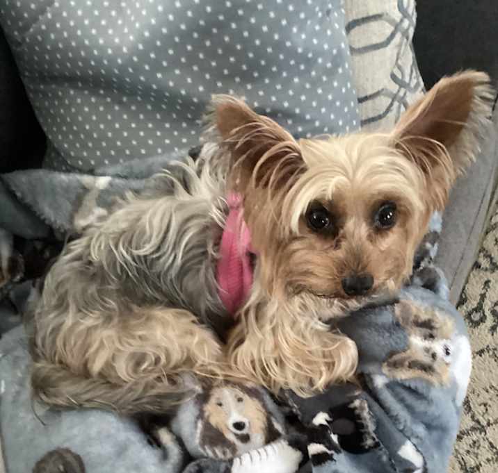 Photo of DIVA