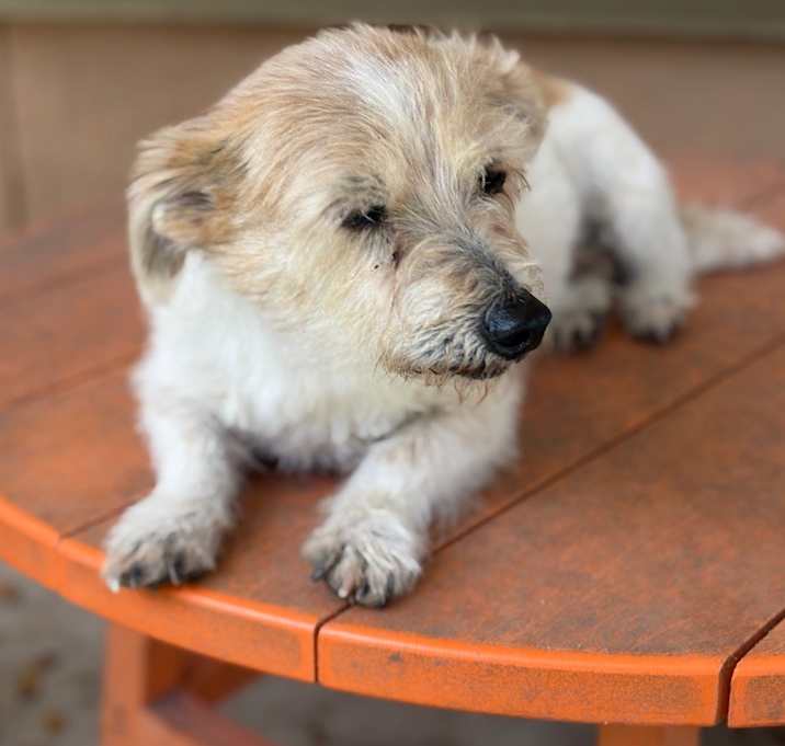 Photo of Jack