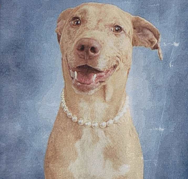 Photo of Athena