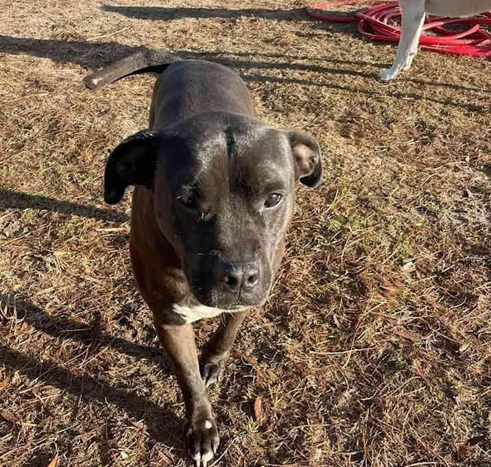 Photo of Maverick