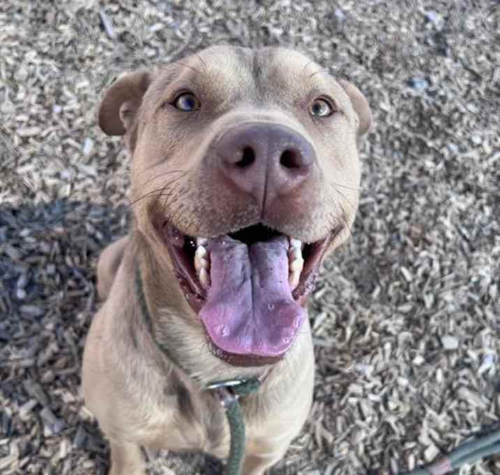 Photo of SCOOBY