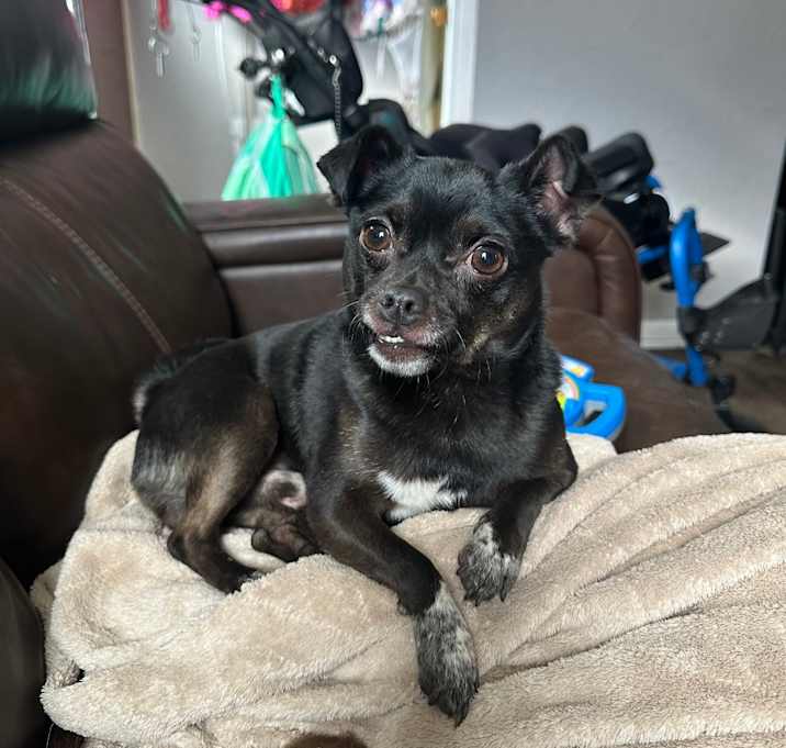 Photo of Jalapeno