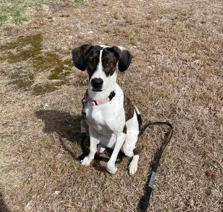 Photo of Charlee Litterer