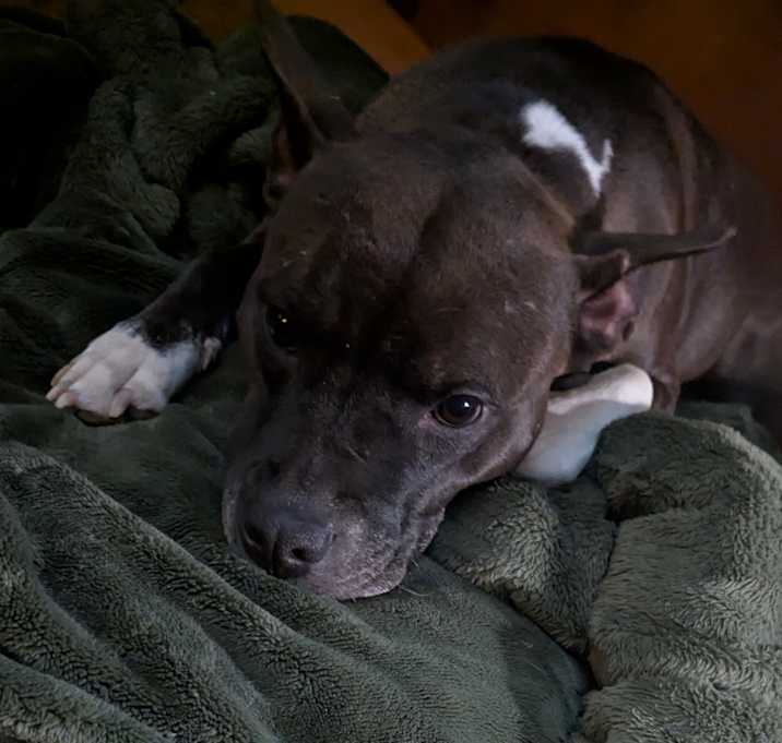 Photo of Precious