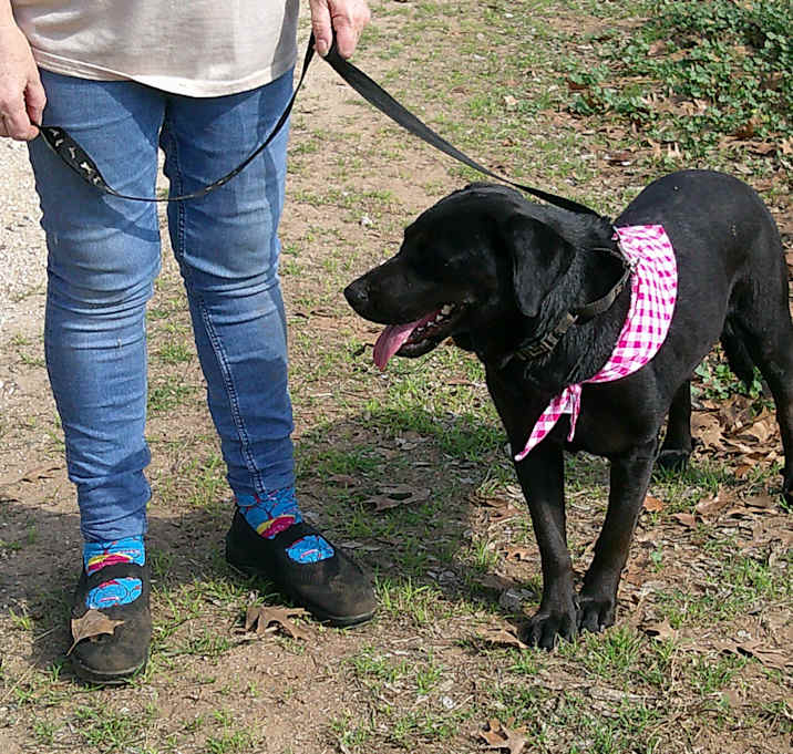 Photo of RAVEN (Lab)