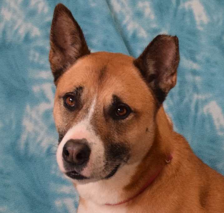 Photo of Maddy