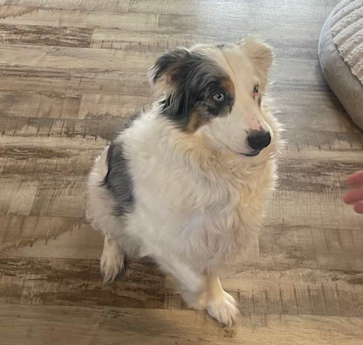 Photo of Theodore