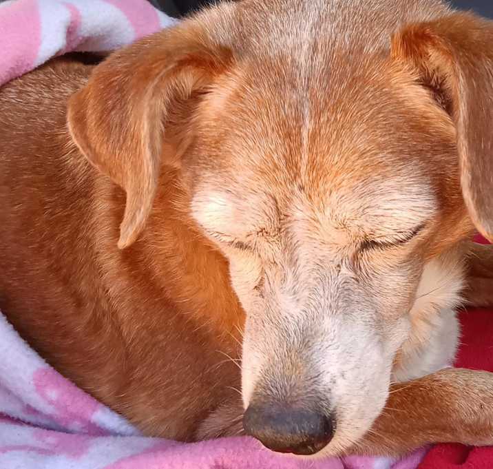 Photo of Old Man