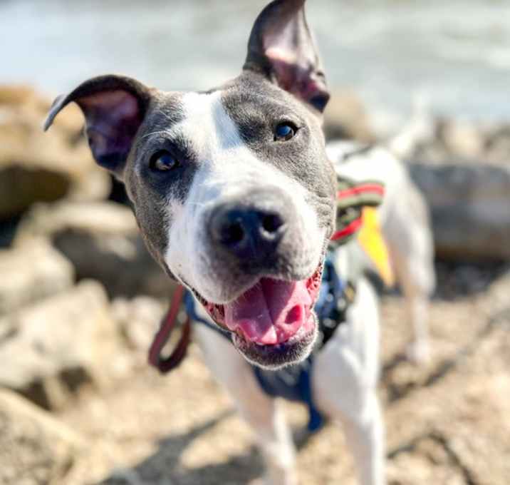 Photo of Desmond